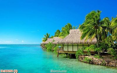 File in trần File gốc đại đương biển DD258 (file gốc) xuyên sáng