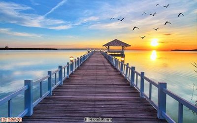 File gốc File gốc đại đương biển DD270 (cho in UV) siêu nét