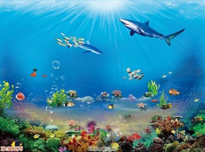 File ảnh File gốc đại đương biển DD275 (gốc) dùng in Pano