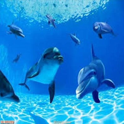 Ảnh gốc file in lụa File gốc đại đương biển DD289 chi tiết