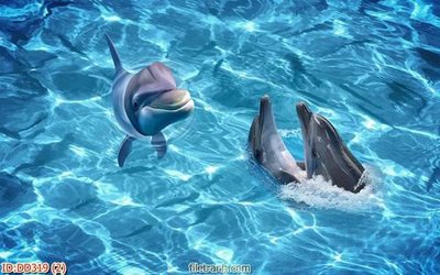 File gốc File gốc đại đương biển DD319 (in lụa) cao cấp