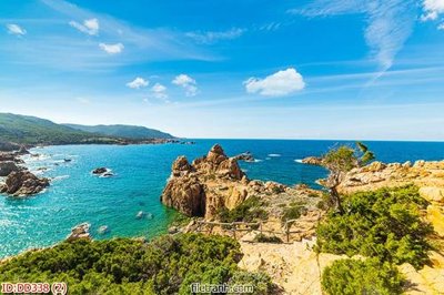 File in mica File gốc đại đương biển DD338 (bản gốc) làm vách ngăn