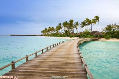 Tải file gốc File gốc đại đương biển DD356 (bản PSD) còn layer