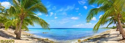 File in ấn File gốc đại đương biển DD370 (bản gốc) cao cấp