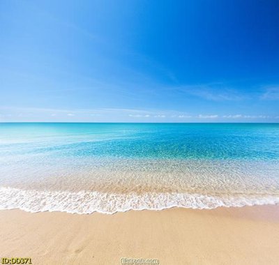 File gốc File gốc đại đương biển DD371 (trang trí) phòng ngủ