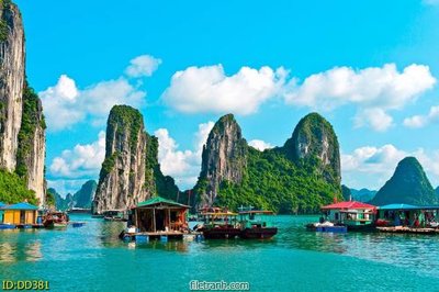 File gốc File gốc đại đương biển DD381 (PNG) trong suốt (transparent)