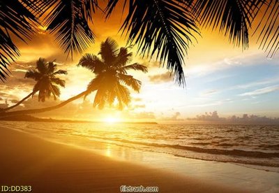 Tải file gốc File gốc đại đương biển DD383 (bản PSD) đầy đủ layer