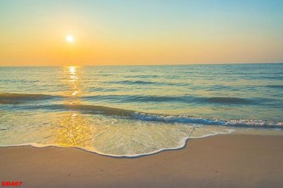 Tải file File gốc đại đương biển DD407 (ảnh gốc) in gạch 3D