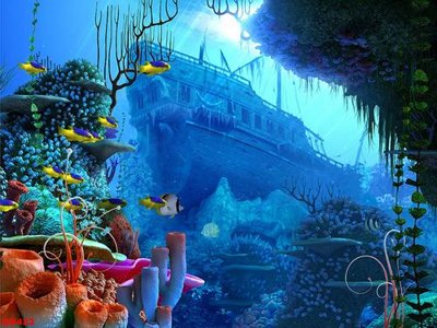 File in ấn File gốc đại đương biển DD422 chuyên nghiệp