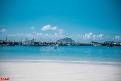 File PSD File gốc đại đương biển DD447 (gốc) tách lớp chi tiết