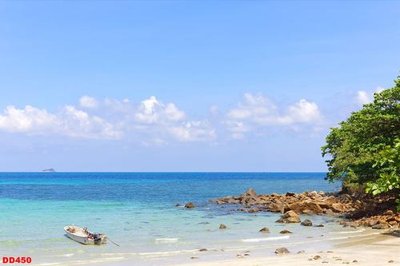 File in mica File gốc đại đương biển DD450 (bản gốc) sắc sảo