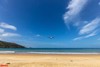 Tải file File gốc đại đương biển DD453 (gốc) làm tranh treo tường