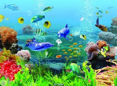 File in trần File gốc đại đương DD87 (bản gốc) hoa văn