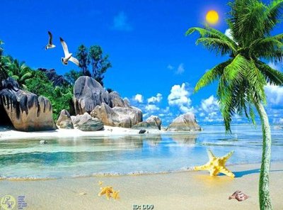 Tải file File gốc đại đương DD9 (gốc) để in ấn ngay