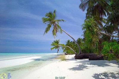 Tệp tin gốc File gốc đại đương DD97 (chất lượng) File gốc đại đương DD97