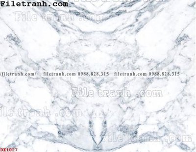 Tải file File vân đá đá cẩm thạch đối xứng DX1027 (ảnh gốc) file AI/EPS