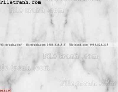 File tranh in tráng gương File vân đá đá cẩm thạch đối xứng DX1134 (siêu nét)