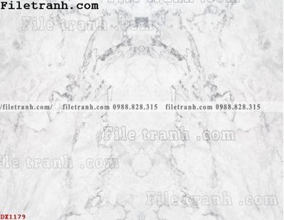File gốc File vân đá đá cẩm thạch đối xứng DX1179 (in lụa) trang trí tường