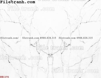 File tranh File vân đá đá cẩm thạch đối xứng DX1191 (ảnh gốc) độ nét vượt trội