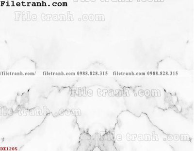 Hình ảnh file gốc File vân đá đá cẩm thạch đối xứng DX1205 cho in UV