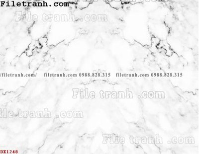 File tranh in trần 3D File vân đá đá cẩm thạch đối xứng DX1248 (ảnh gốc)