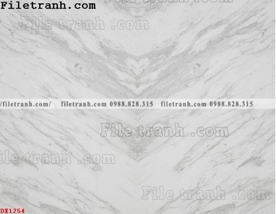 File tranh in tráng gương File vân đá đá cẩm thạch đối xứng DX1254 (siêu nét)