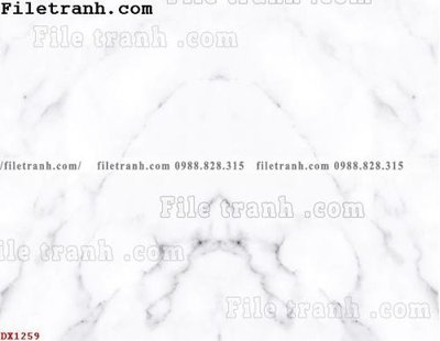 File ảnh File vân đá đá cẩm thạch đối xứng DX1259 (gốc) in biển hiệu