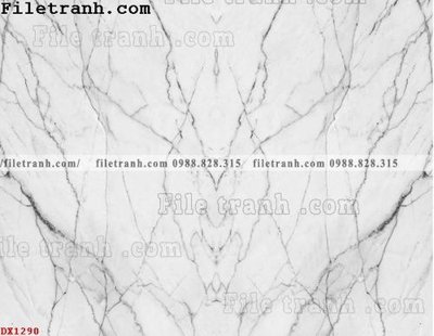 File tranh in trần 3D File vân đá đá cẩm thạch đối xứng DX1290 (ảnh gốc)