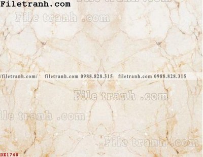 Tải file gốc File vân đá đá cẩm thạch đối xứng DX1748 (in khổ lớn) không vỡ