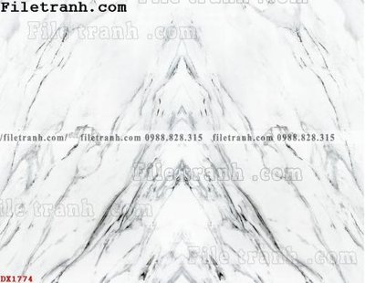 File tranh gốc File vân đá đá cẩm thạch đối xứng DX1774 chủ đề hiện đại