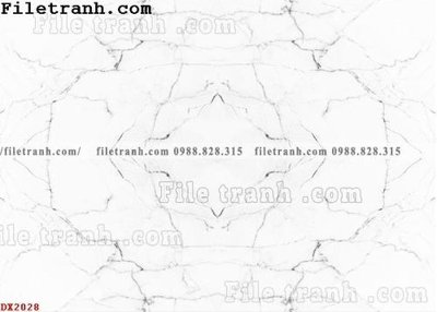 File tranh File vân đá đá cẩm thạch đối xứng DX2028 (ảnh gốc) cho in ấn kỹ thuật số