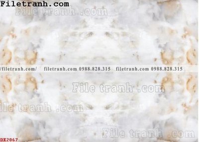 Tải file File vân đá đá cẩm thạch đối xứng DX2067 (ảnh gốc) in gạch 3D