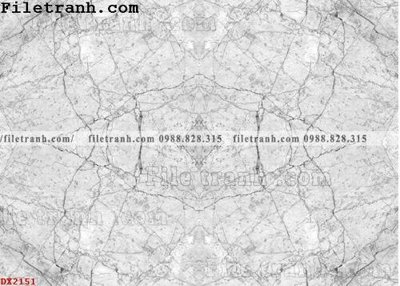 File gốc File vân đá đá cẩm thạch đối xứng DX2151 (in lụa) trang trí tường