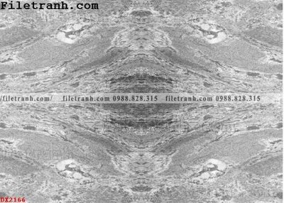 Ảnh gốc File vân đá đá cẩm thạch đối xứng DX2166 (siêu chi tiết) để in ấn