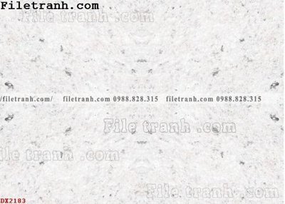 Chi tiết file tranh tráng gương File vân đá đá cẩm thạch đối xứng DX2183 (ảnh gốc)