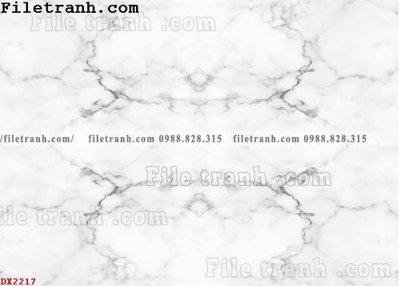File gốc File vân đá đá cẩm thạch đối xứng DX2217 (AI/EPS) cho in ấn
