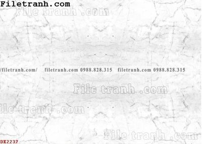 File gốc File vân đá đá cẩm thạch đối xứng DX2237 (cho in ấn) độc quyền