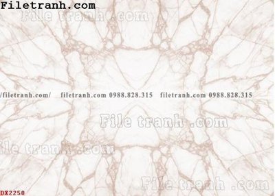 File tranh quảng cáo File vân đá đá cẩm thạch đối xứng DX2250 (download file gốc)