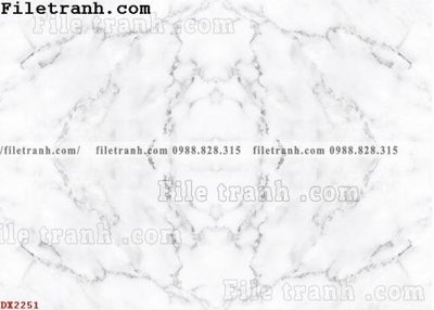 File tranh File vân đá đá cẩm thạch đối xứng DX2251 (gốc) in trên kính