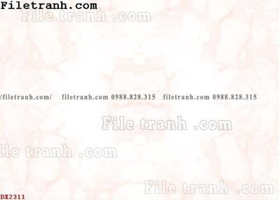File in lụa File vân đá đá cẩm thạch đối xứng DX2311 (chất lượng cao) File vân đá đá cẩm thạch đối xứng DX2311