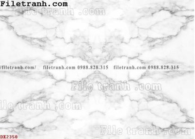File tranh gốc File vân đá đá cẩm thạch đối xứng DX2350 (bản quyền) độc đáo