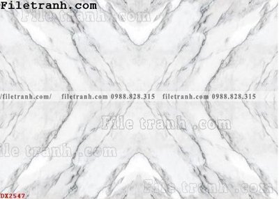 File tranh gốc File vân đá đá cẩm thạch đối xứng DX2547 (bản quyền) độc đáo