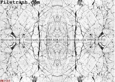 Tải file File vân đá đá cẩm thạch đối xứng DX2561 (ảnh gốc) in tráng gương