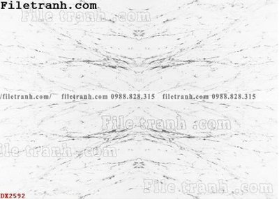 File PSD File vân đá đá cẩm thạch đối xứng DX2592 (bản gốc) chất lượng nhất