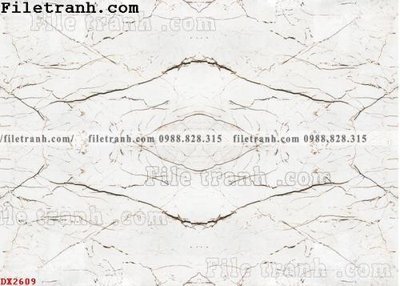 Tải file gốc File vân đá đá cẩm thạch đối xứng DX2609 (in khổ lớn) không mờ