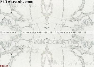 File ảnh File vân đá đá cẩm thạch đối xứng DX2625 (gốc) in PP, decal