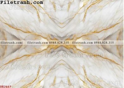 Tệp tin gốc File vân đá đá cẩm thạch đối xứng DX2667 (dùng cho in) File vân đá đá cẩm thạch đối xứng DX2667