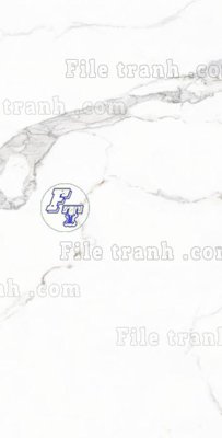 File in trần File in vân đá cẩm thạch thông tầng đứng DXD116 (file gốc) phong thủy