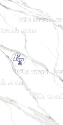 Tải file File in vân đá cẩm thạch thông tầng đứng DXD143 (gốc) làm tranh treo tường