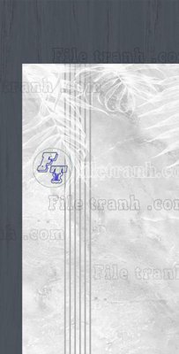 File in ấn File in vân đá cẩm thạch thông tầng đứng DXD300 (bản gốc) sắc nét